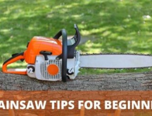 Chainsaw Tips for Beginners (Start Out Like a Pro)